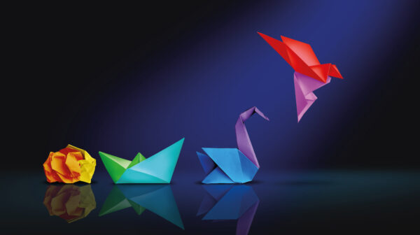 evoluzione di origami di diverse forme