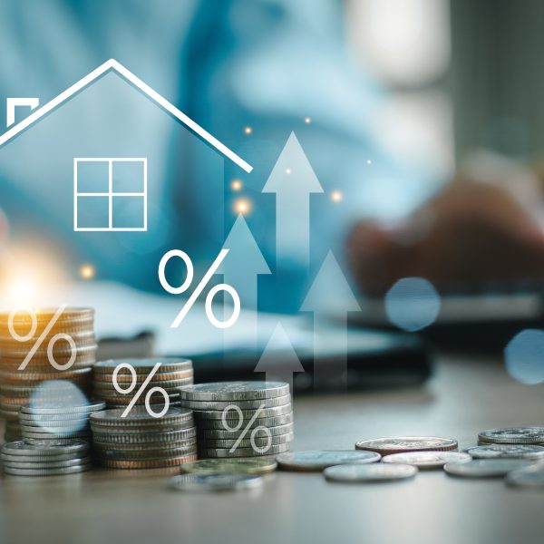 Image for Il dilemma del Property Value