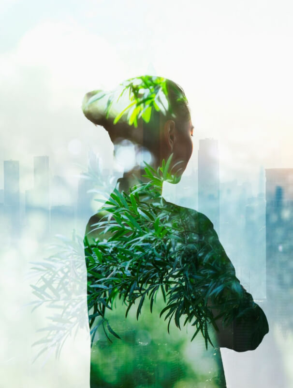Our Vision of Sustainability